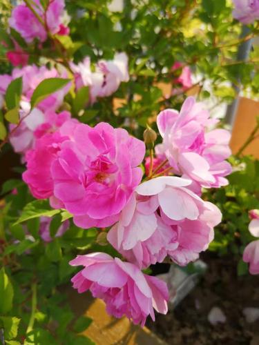 微信图片_202012081801295